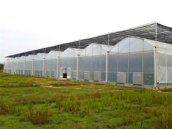 冬季塑料薄膜溫度能達到多少溫度